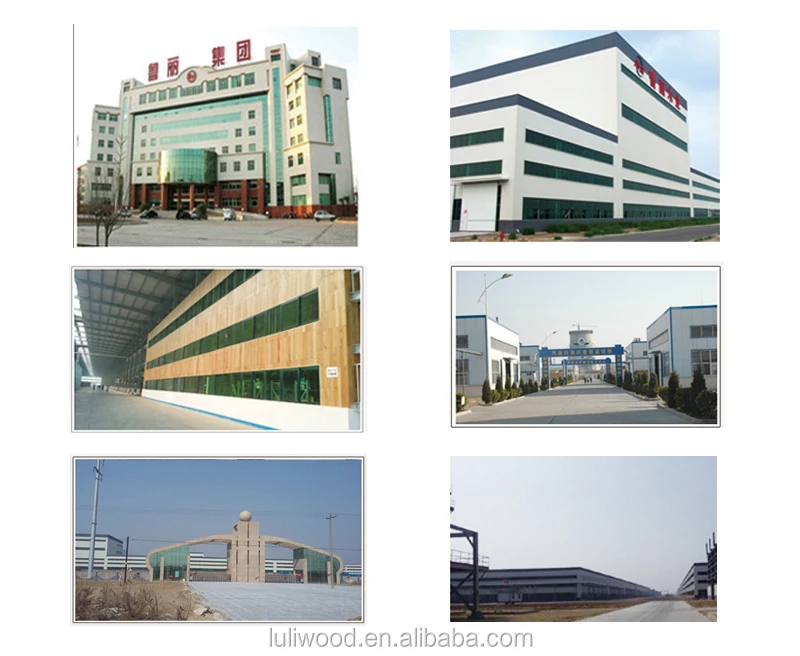 COMPANY-OF-LULI