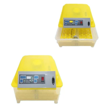 Egg incubator machine price in india