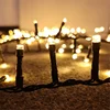 garden and outdoor use LED flame effect light bulb string, led rice fairy Christmas tree decor lights