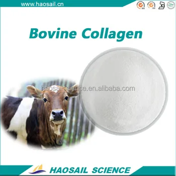 Premium Quality Hydrolyzed Cosmetic Use Bovine Collagen