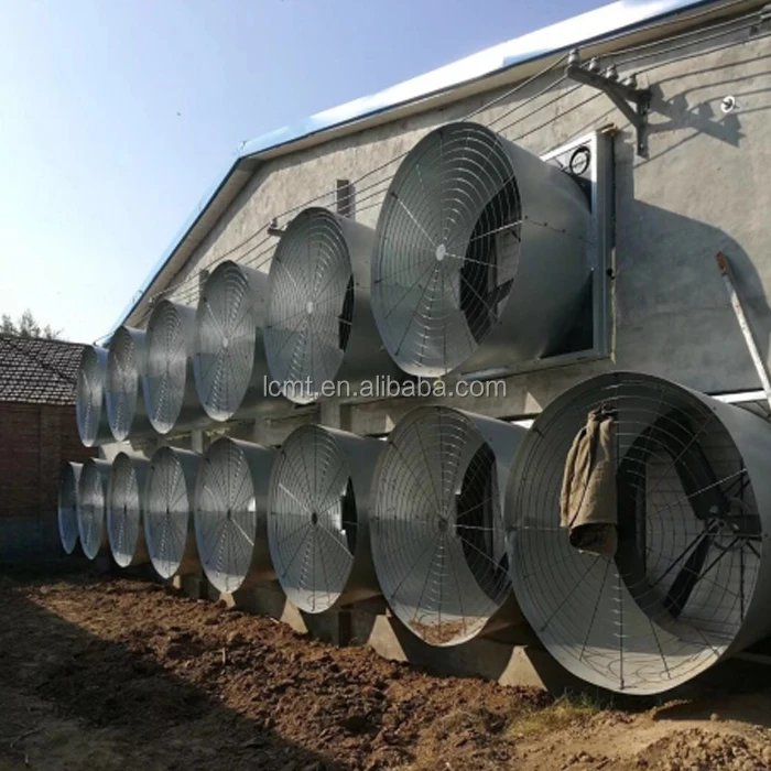 fan 4.jpg
