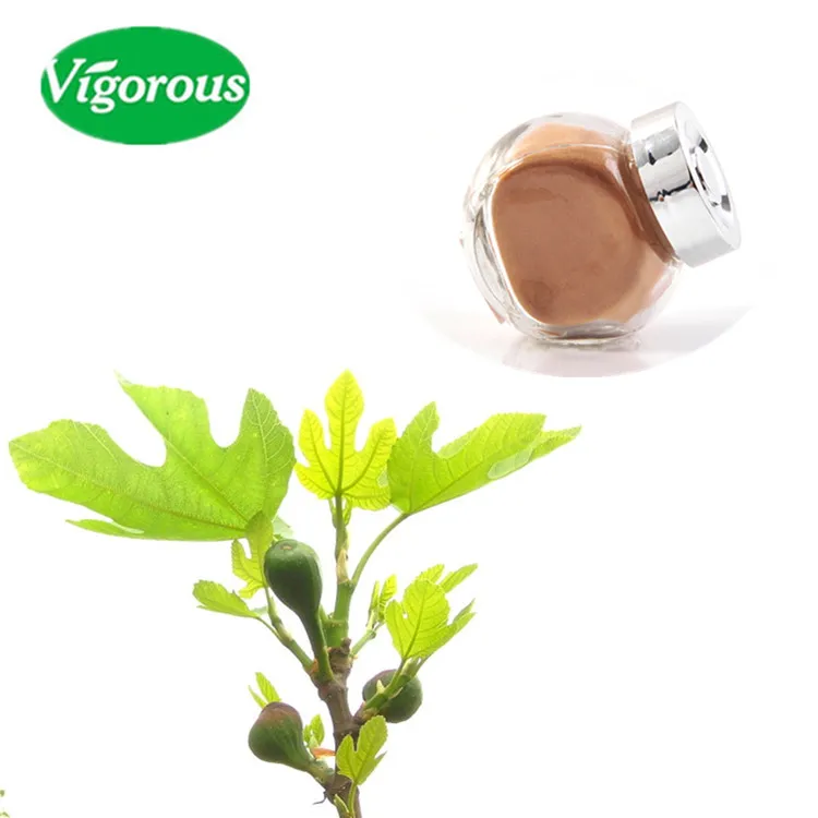 Pure Natural Ficus Carica Extract Fig Leaf Extract Powder Buy Fig