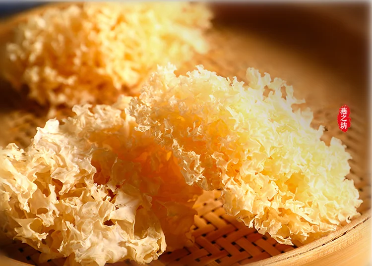 dired_white_fungus (2).png