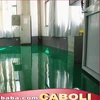 Caboli Building Coating focus on export paint