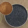 Jiu Cai Zi Best Price saponin Leek Seed Powder Tuber Onion Seed Leek Seed P.E