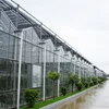 Venlo type flower multi span commercial glass greenhouses used