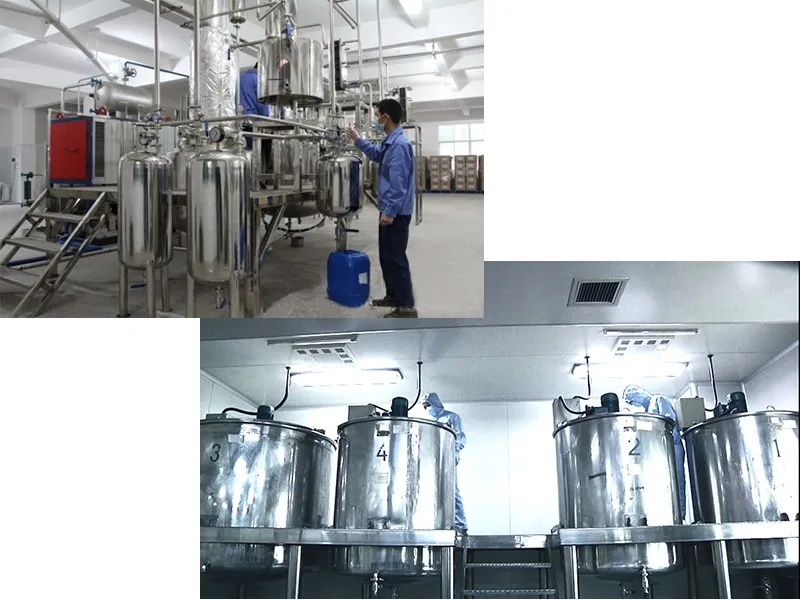 flavoring concentrate factory in Guangzhou
