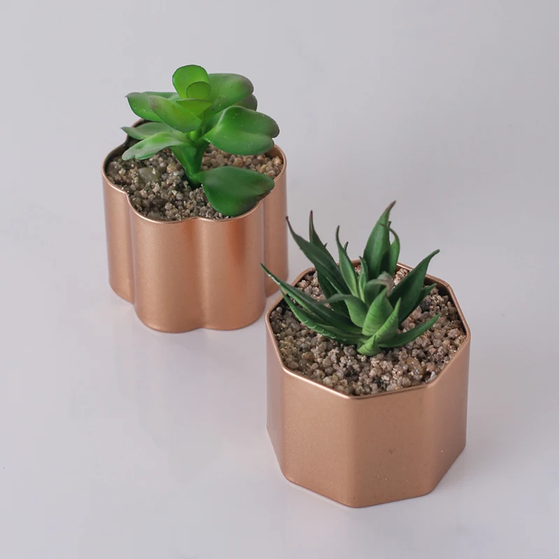 

Wholesale Cheap Mini Metal Flower Pot With Succulent Plants, N/a