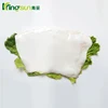 Good Price Peru Giant Squid Meat,Fillet