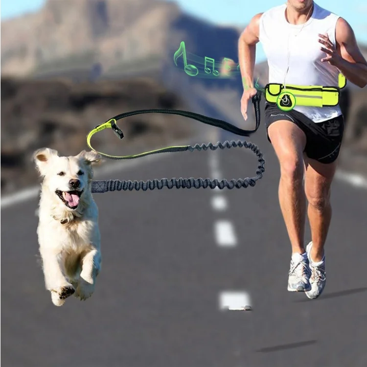 

Sports Running Jogging Dog Leads Leash puppy Traction Rope Chain Collars Harnesses Waterproof Pockets Waist Bag, Customized color