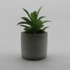 /product-detail/home-green-artificial-flowers-succulent-plant-indoor-outdoor-with-leaves-artificial-bonsai-62127700881.html