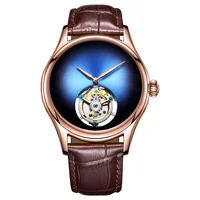 

2019 Fashion Men Tourbillon Watch Top Brand leather Sapphire Mechanical Wristwatch Luxury Clock Man Automatic Waterproof Watches