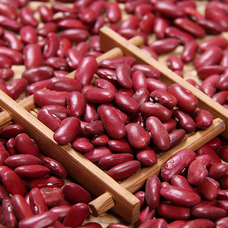 2019 Premium Quality Dark Red Kidney Bean  Wholesale Price For Export