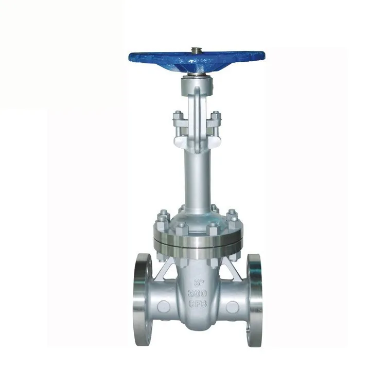 customized rising stem gear operated safety gate valve cast iron
