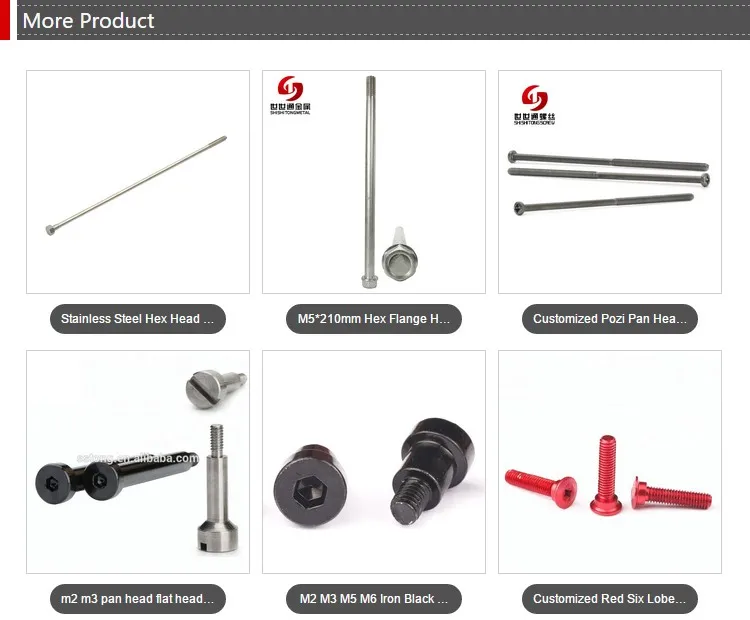 Stainless Steel Torx Drive Flat Head Undercut Machine Screws