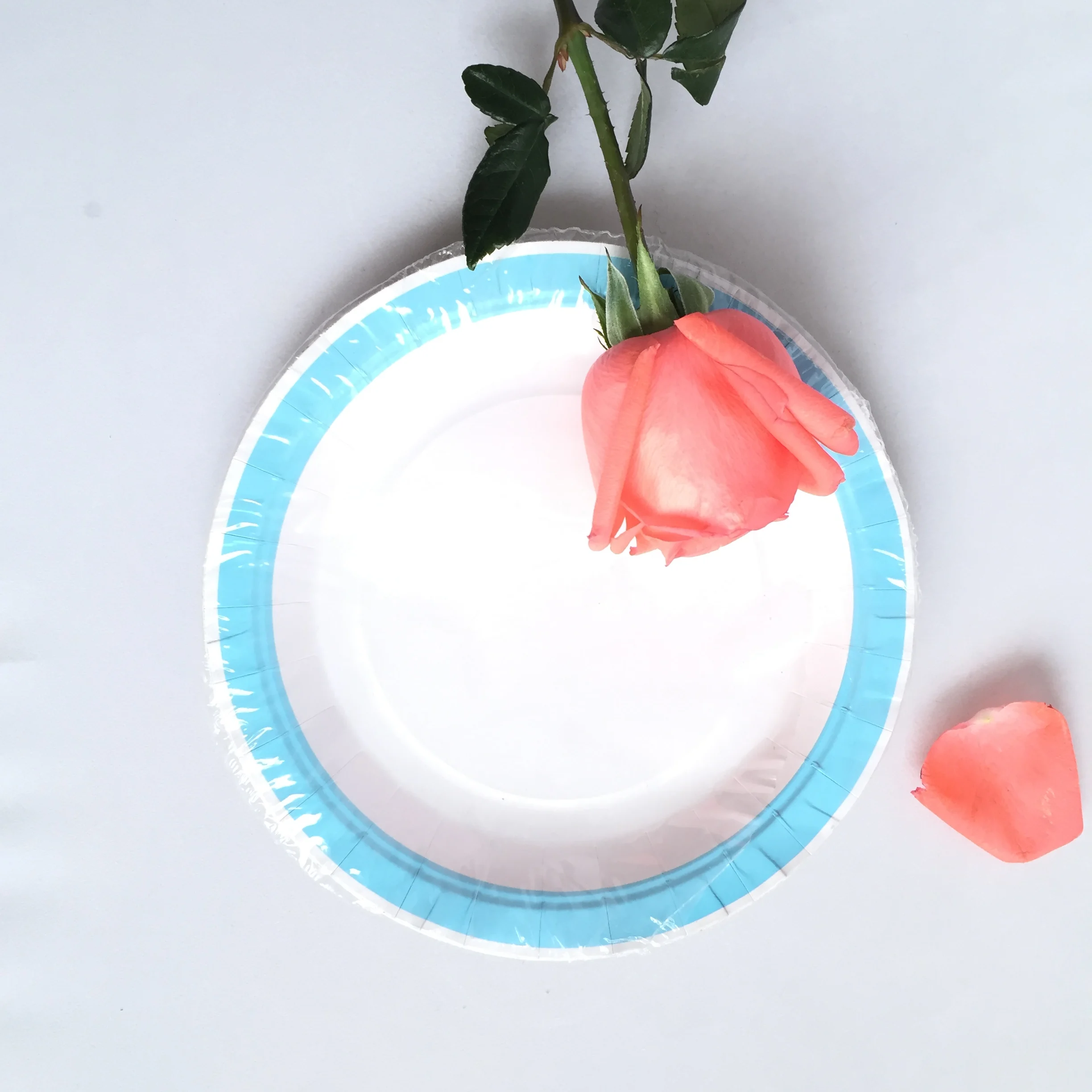 Make Wholesale Price Designer Paper Plates Disposable Buy Make