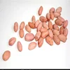 Chian factory processing Peanuts with peanut price and raw peanuts