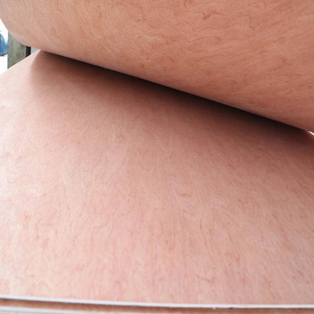 BINTANGOR  GTCO (8).JPG