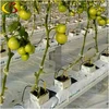 Gutter growing system for greenhouse production hydroponic substrate trough for strawberry