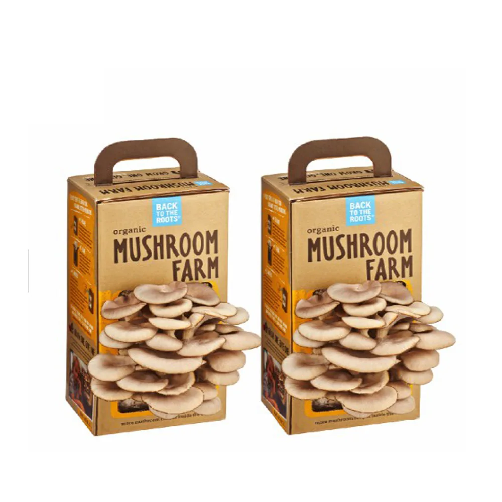 Custom Cardboard Fresh Mushroom Packaging Packing Boxes Paper Recyclable Environmental Jielong