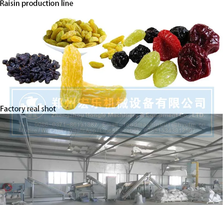 Small Scale Plantain Coconut Chips Making Production Machine Banana Chips Frying Machine Automatic details