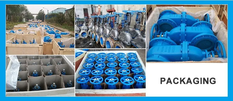 iron gate valve .jpg