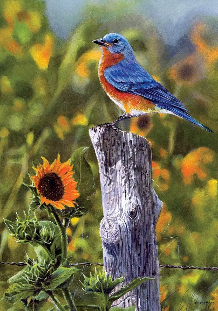 Buy Bluebird Sunflowers Garden Size 12 Inch X 18 Inch