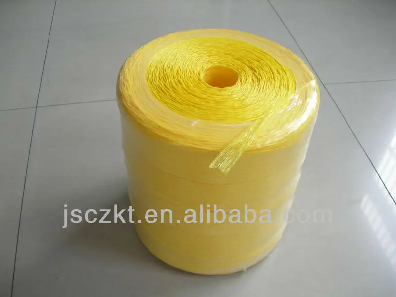 DSCN4498.JPG