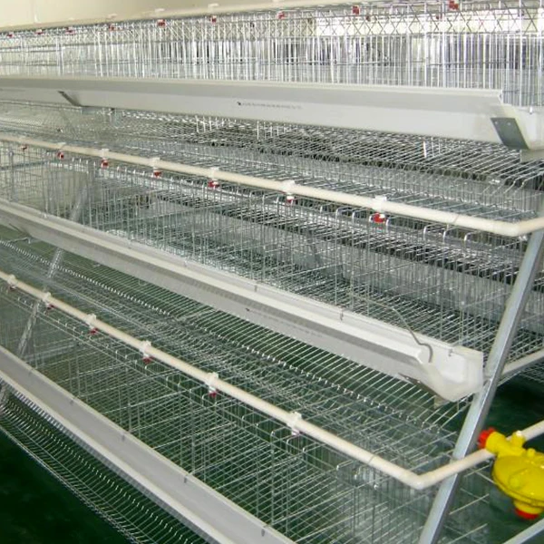 chicken cage (1)