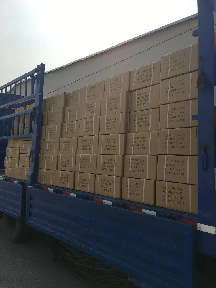 
anti worm 10% oral solution suspension albendazole 