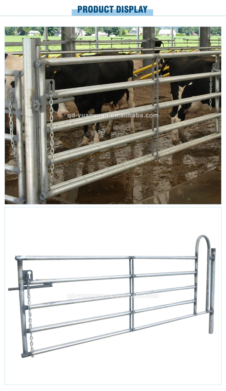 Dairy Cow / Cattle Gate Canada Australia Corral Farm Galvanized Cattle