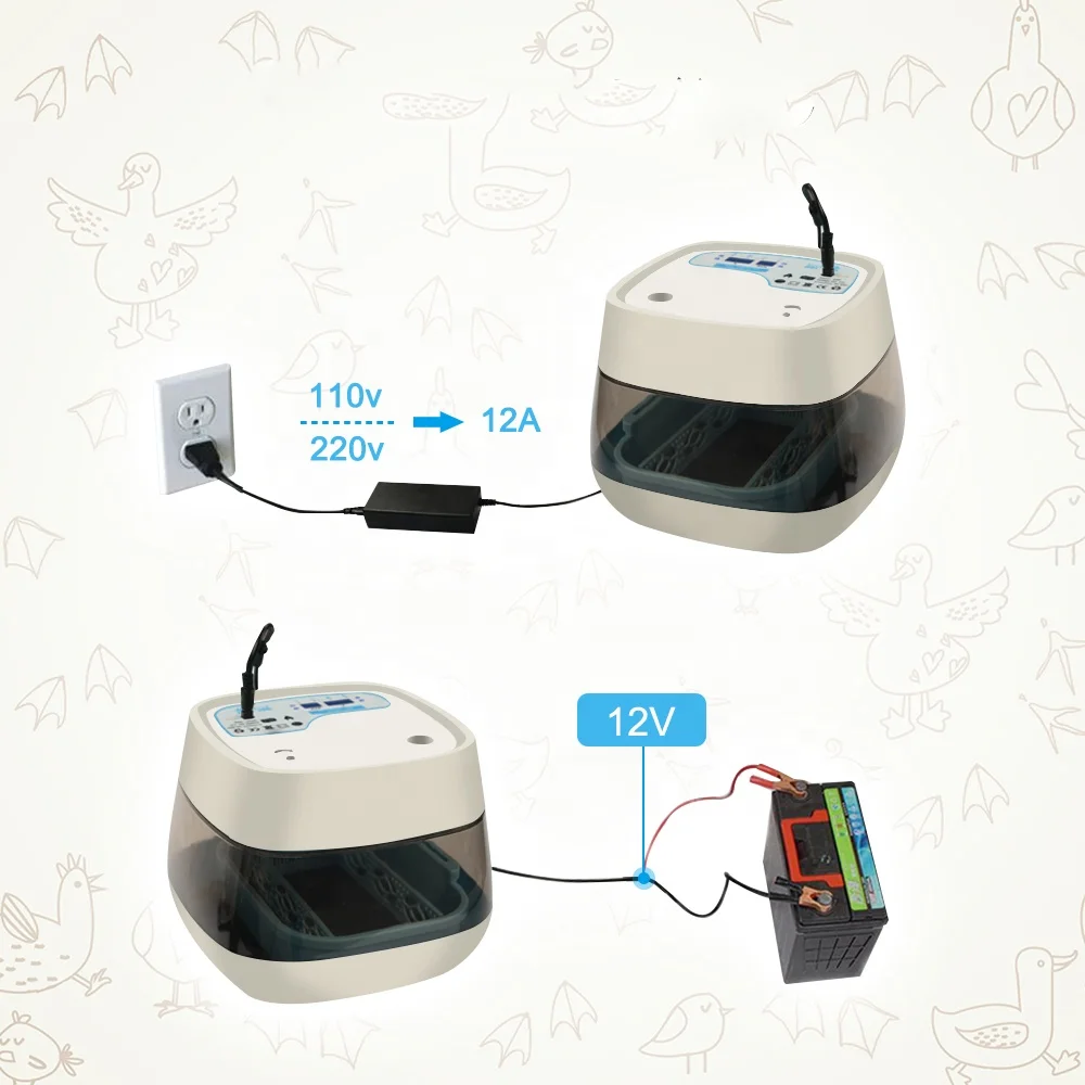 Japan free shipping mini automatic egg hatching incubator