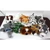 Luckiplus Hot Sale First Class Groveling Animals Tiger Cat Frog Puppy Elephant Safe Technology Toy For Kids