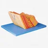 Stomach wall model .human anatomy stomach wall model,educational models