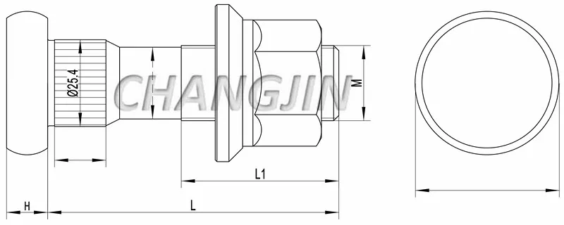 DAF truck stud bolts 620646