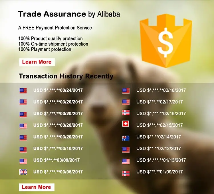 trade assurance.jpg