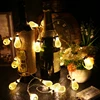 20 LED with 76cm Extended Cable, AC 220V 2.7m 3W Metal Light Bulb Style String Decoration Light