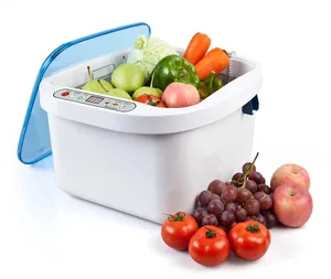 Image of GT SONIC ultrasonic ozone Fish Meat vegetable and fruit washing machine