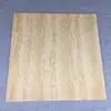 STARTRADE indoor new model floor tile 600x600 virtified floor titles