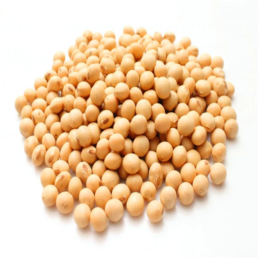 Soya fasulyesi Soya fasulyesi