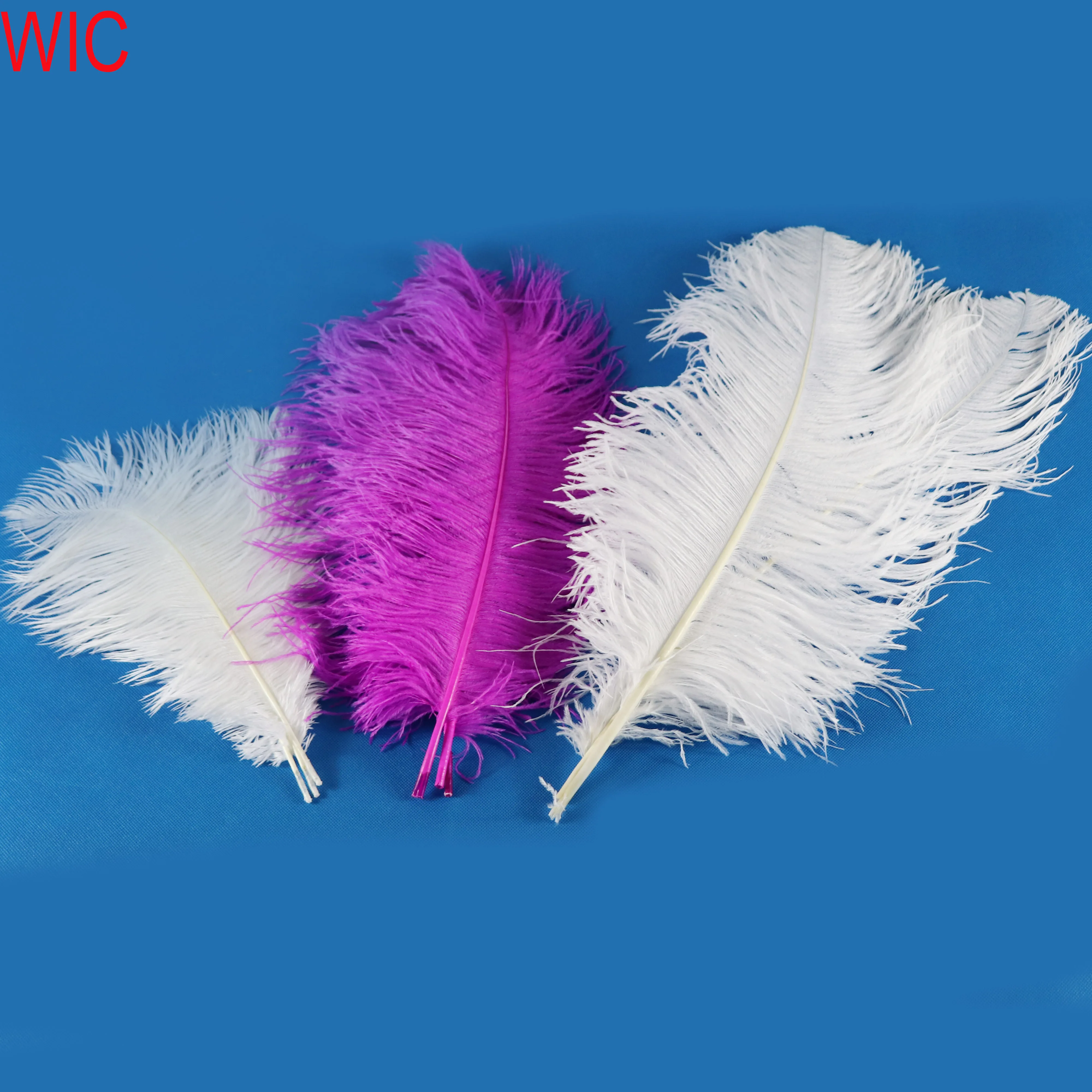 single ostrich feathers