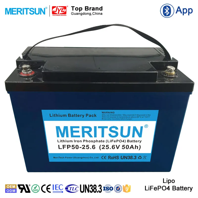 100%DOD >2000Times 24 Volt 24V 50Ah Li Lipo LiFePO4 Lithium ion Battery Pack for Electric Boat etc