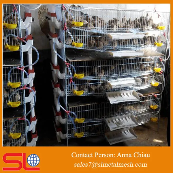 wire mesh cage for quail price /quail farm cage / quail cage for sale philippines