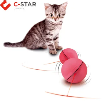 cat magic ball