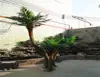 cheap artificial palm tree artificial coconut palm outdoor coconut with fruit cheap fresh coconuts