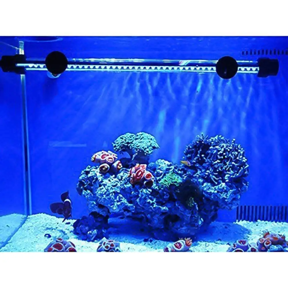 cheap 10000k light for