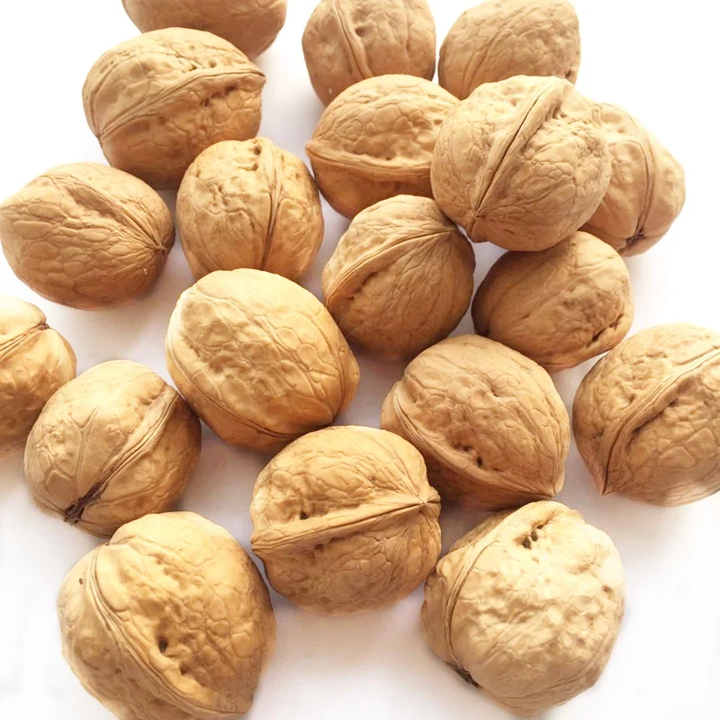 
bulk sell california walnuts xinjiang in shell 
