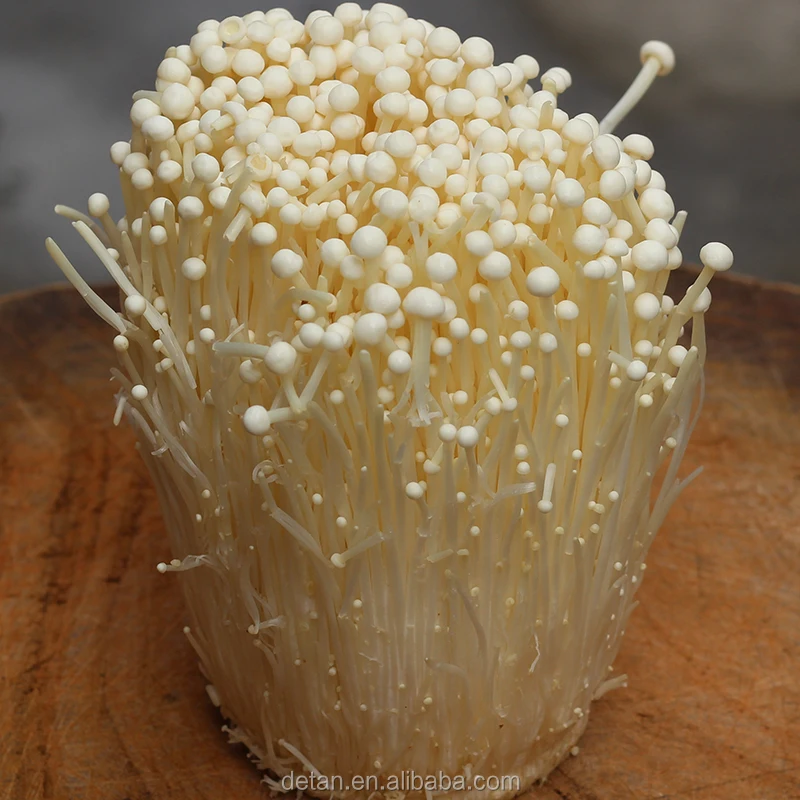 
Detan Enoki Dry Mushroom 