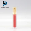 Hot Sale 50 Colors Makeup Waterproof Cosmetic Lipstick Lip Gloss