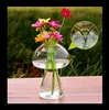 Flowers in Mushroom glass terrarium for table and desk decoration